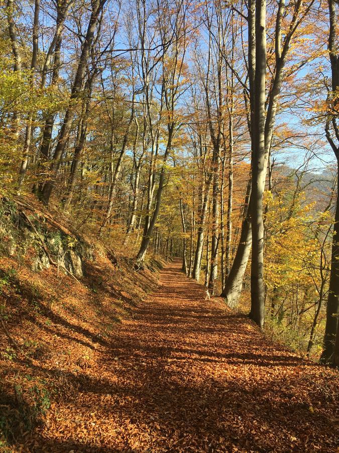 Pension Chesselberg Buckten Buitenkant foto